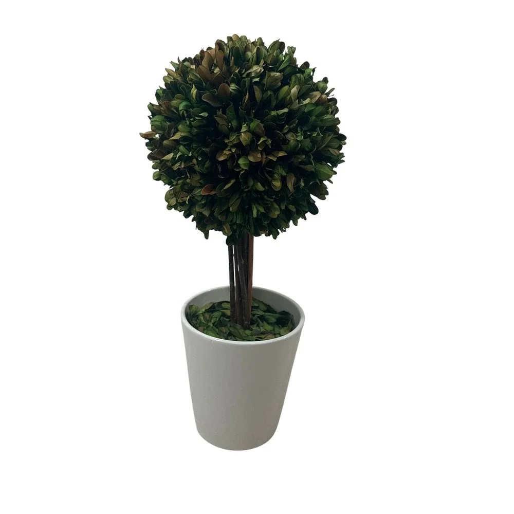 Preserved Boxwood Topiary Ball in White Ceramic Pot 16 Inch‎ Faux Greenery Decor